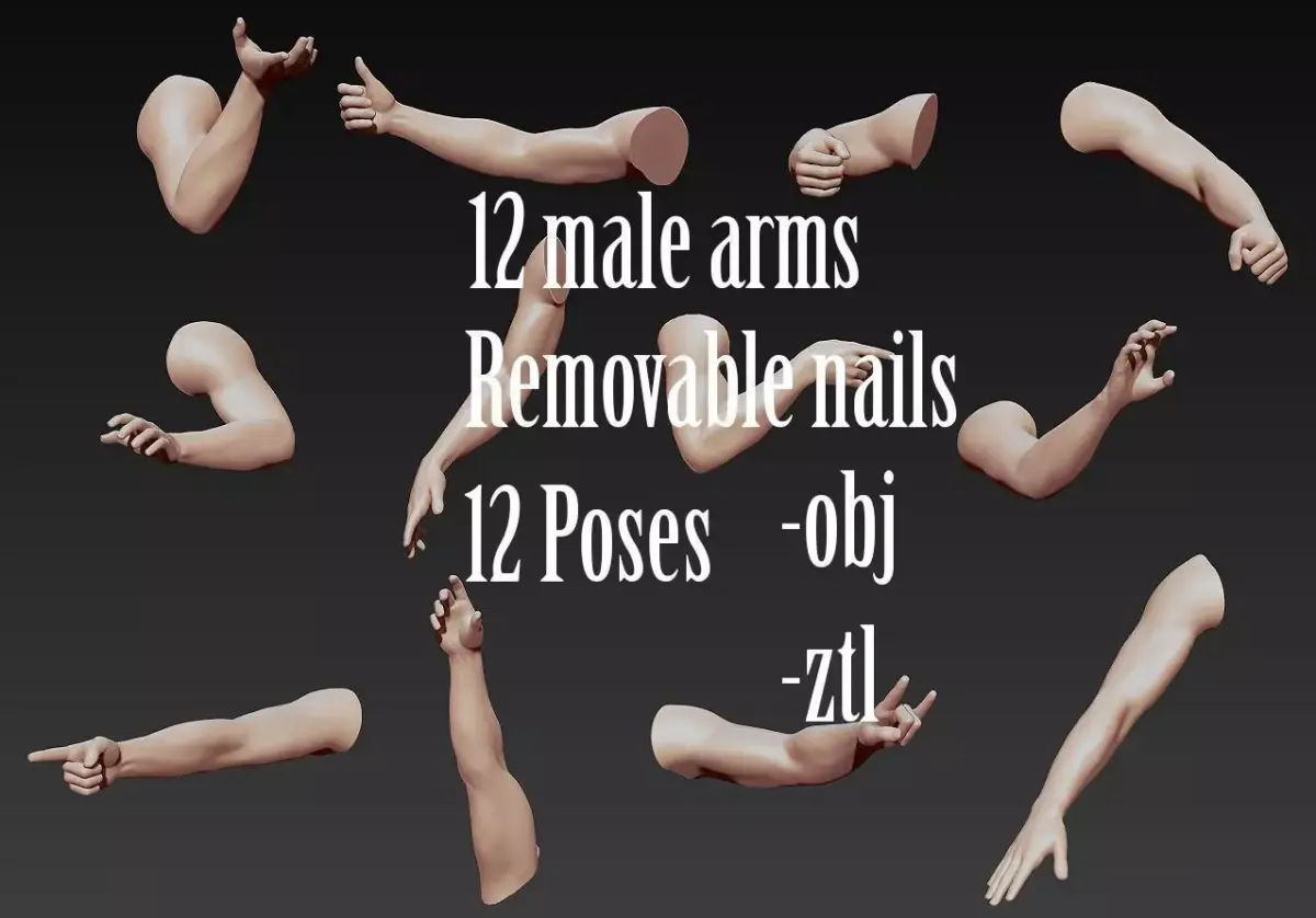 12 Male Arms 3D model purchase