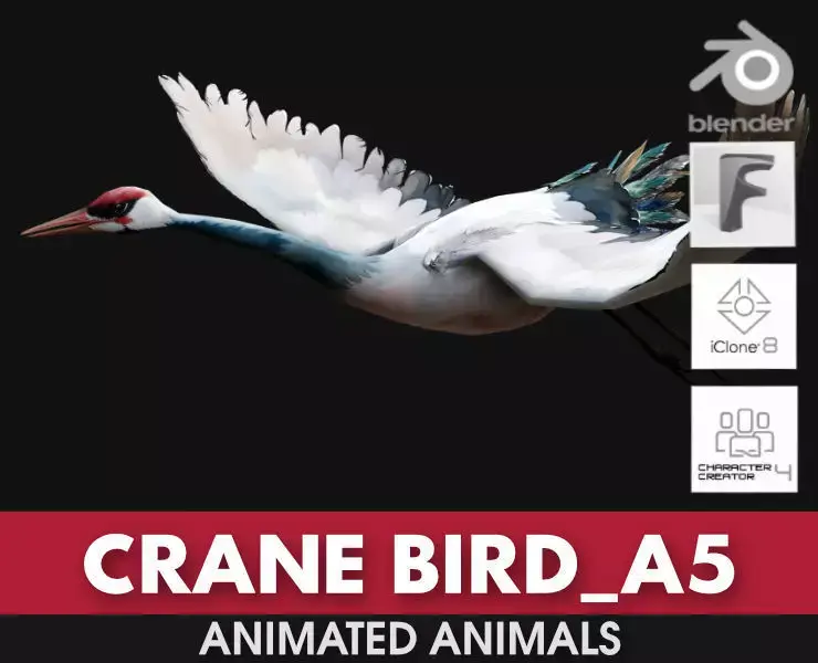 Crane Bird A5 3D model