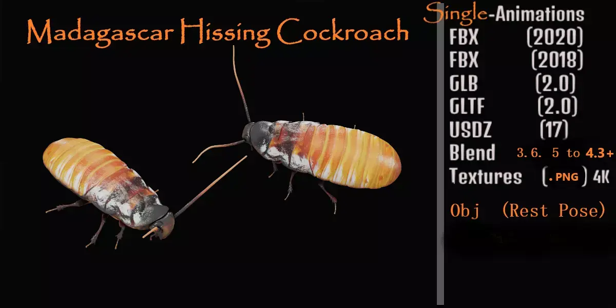 Madagascar Hissing Cockroach Low-poly 3D model