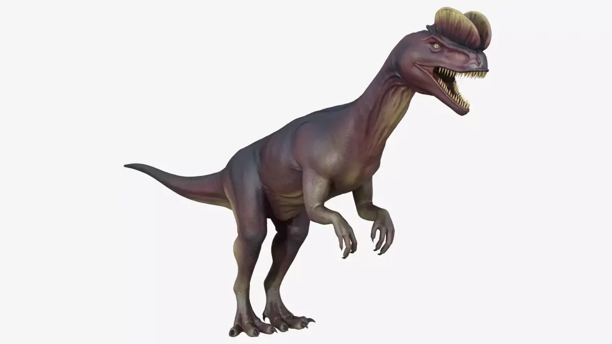 Dilophosaurus dinosaur Low-poly 3D model buy