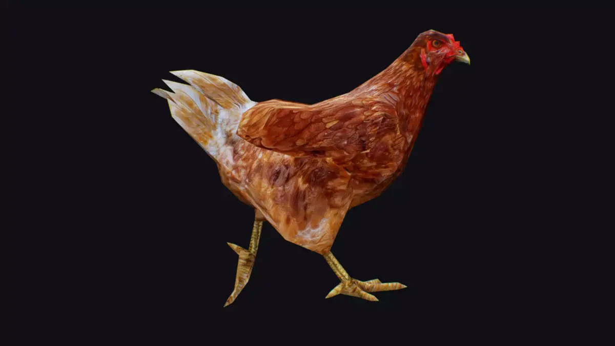 Chicken Roaster Farm Bird Animated Animal Village Birds Poultry Low-poly 3D model