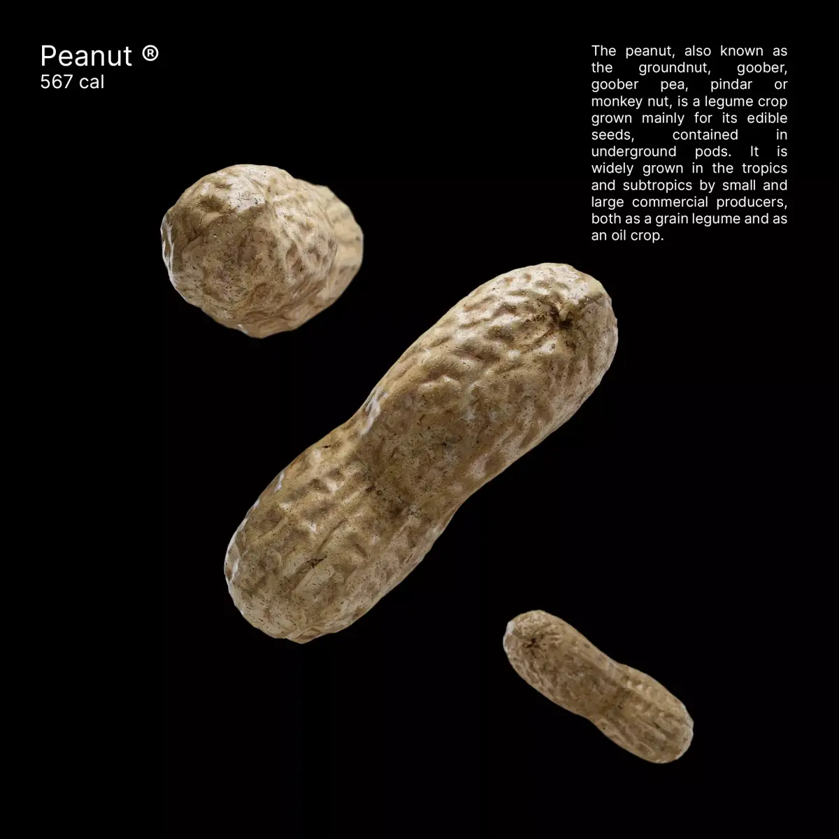 Peanut - Commercial Ready Low-poly 3D model