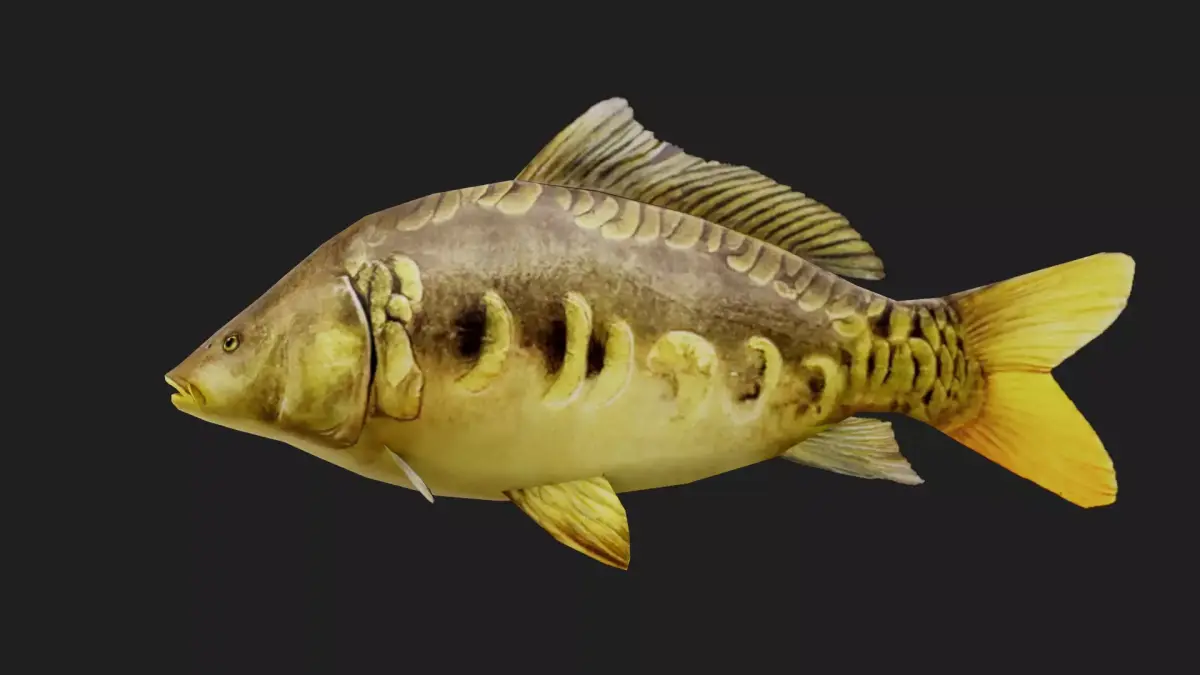 MirrorCarp Low-poly 3D model