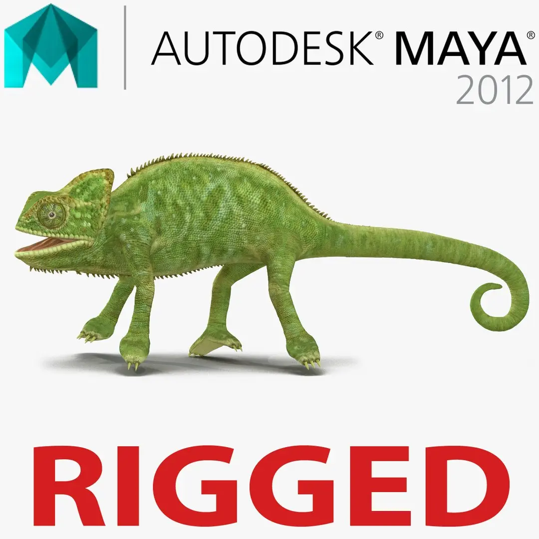 Chameleon Rigged for Maya 3D model