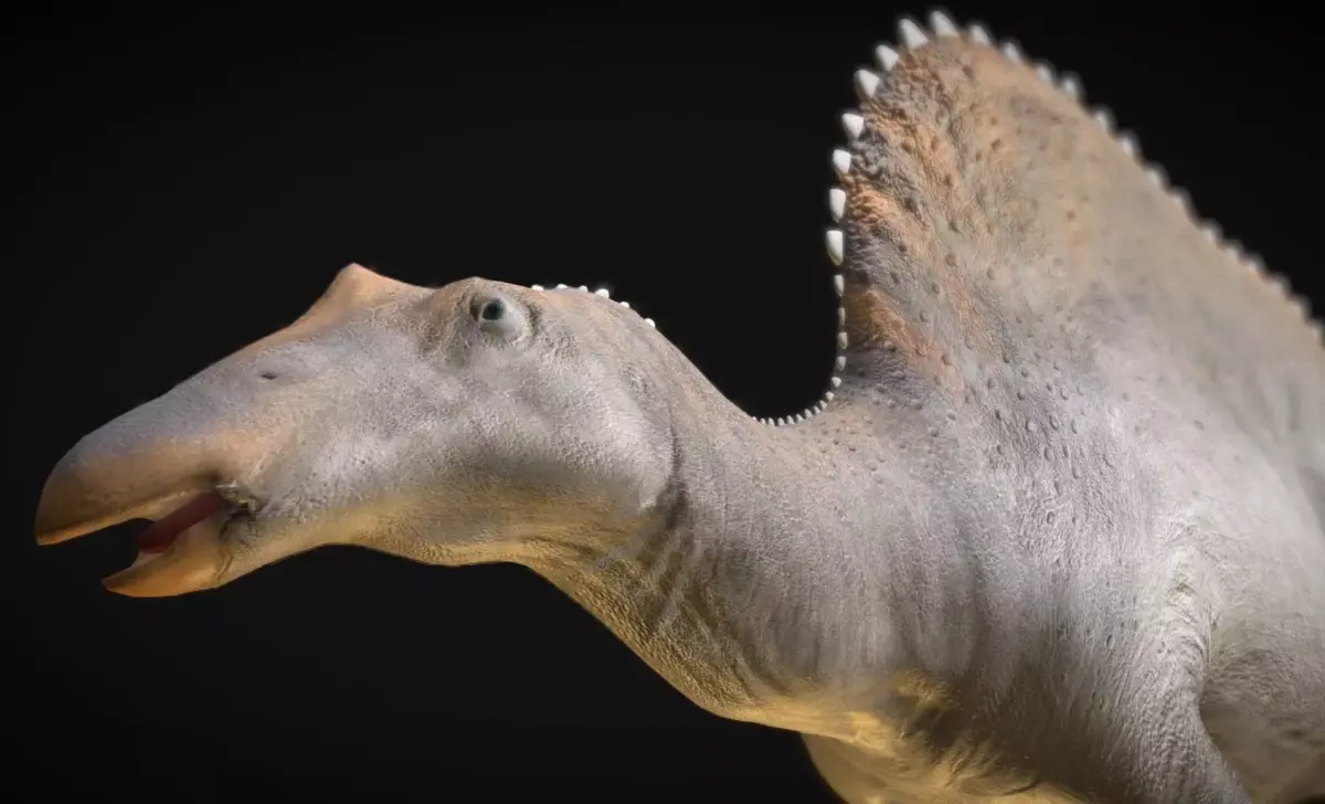 Oranosaurus  Low-poly 3D model