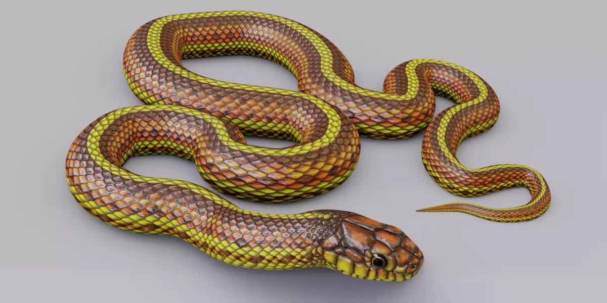 Animated Yellow Snake Free 3D model