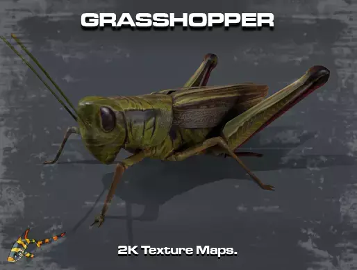 Grasshopper Low-poly 3D model order