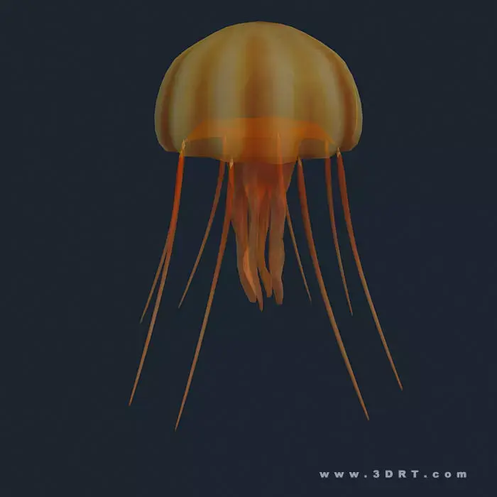 3DRT - Sealife - Jelly FIsh Low-poly 3D model