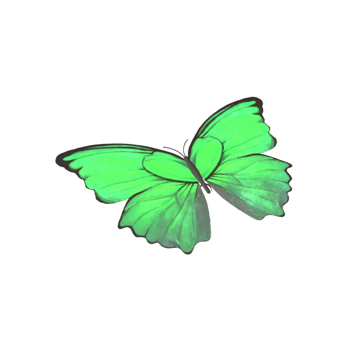 Butterfly v1 004 Low-poly 3D model