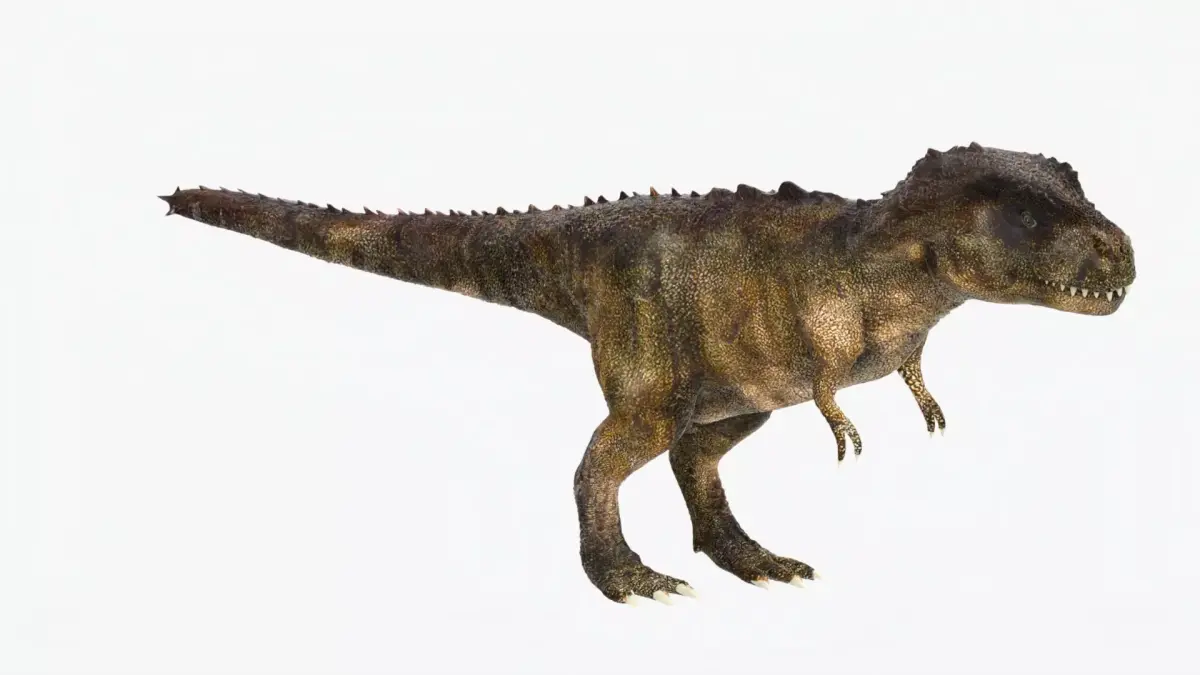 Tyrannosaurus Rex Low-poly 3D model 11