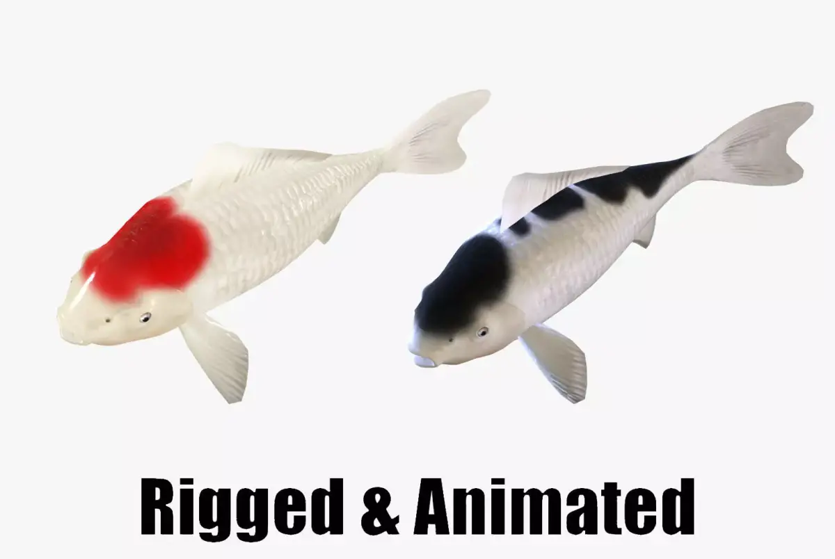 animated carp fish koi Low-poly 3D model