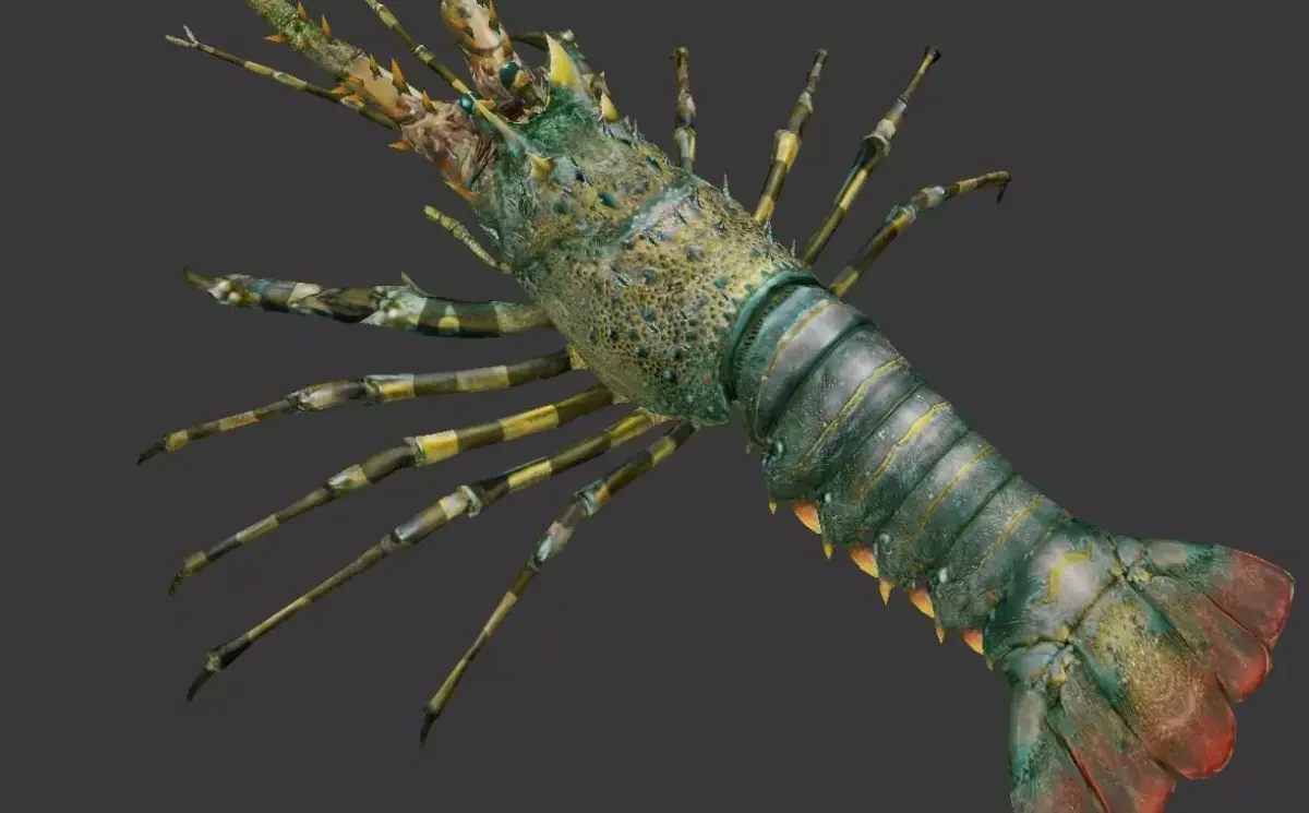 lobster    Australian lobster Low-poly 3D model