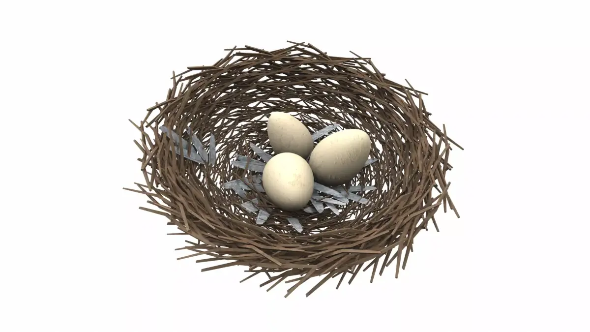 Bird nest v1 3D model