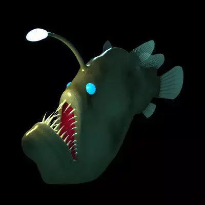 Angler Fish 3D model buy