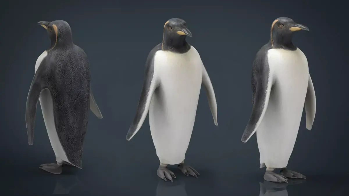 Penguin Low-poly 3D model purchase