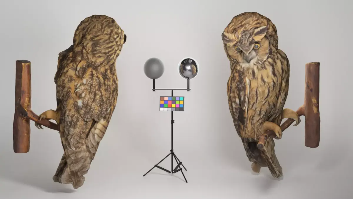 Owl 05 Low-poly 3D model