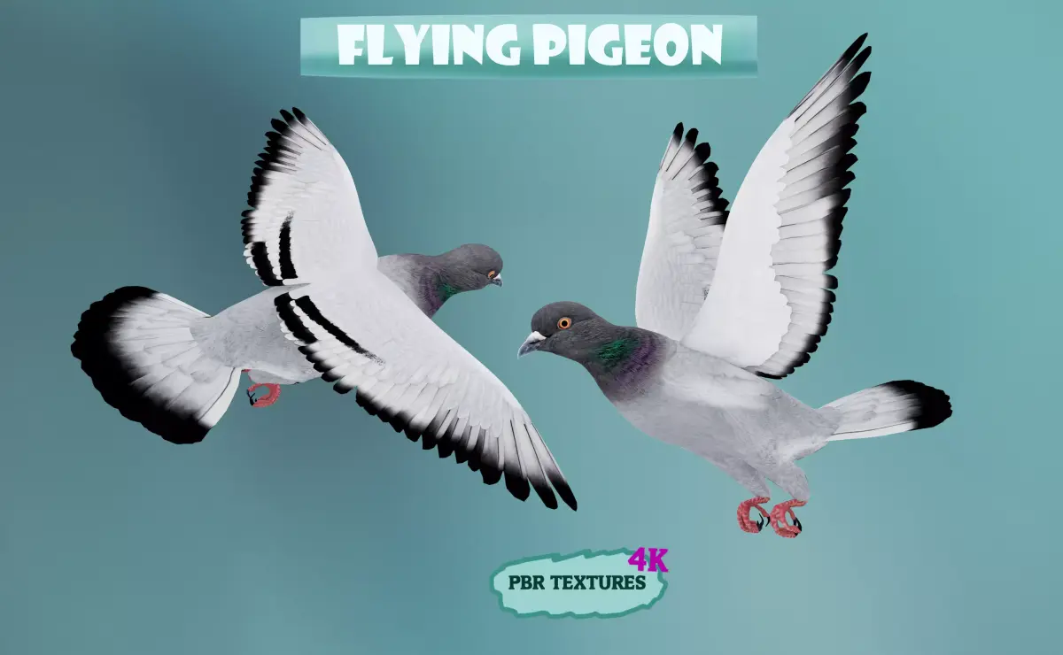 Realistic flying Pigeon - LOOP FLIGHT animations Low-poly 3D model
