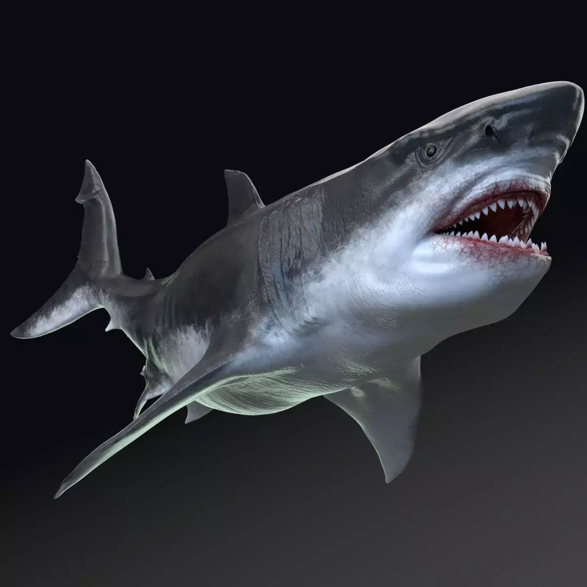 Dinosaur MEGALODON - Sea Monster Series 5 Low-poly 3D model