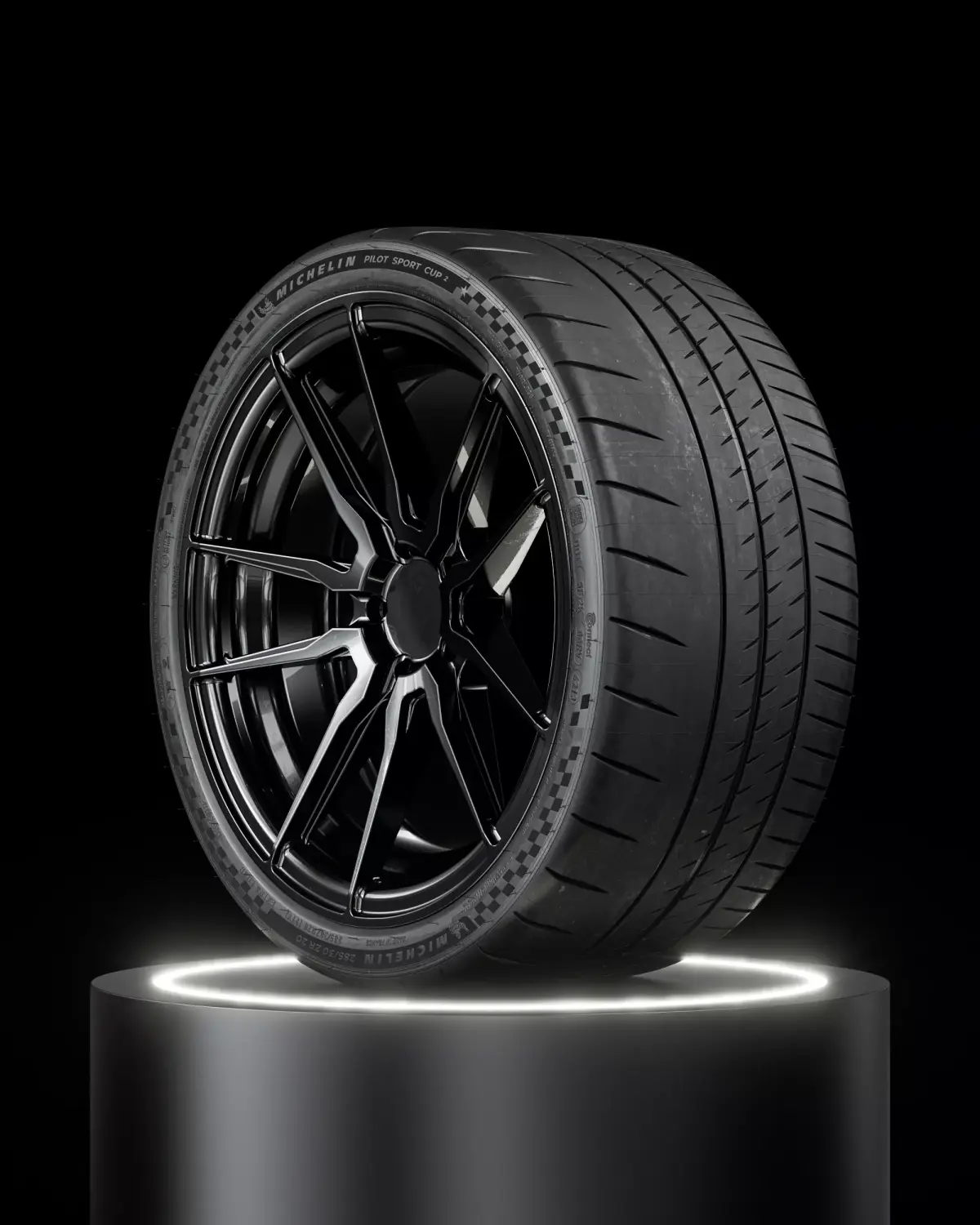Michelin Pilot Sport CUP 2 285 30 ZR20 99Y 3D model