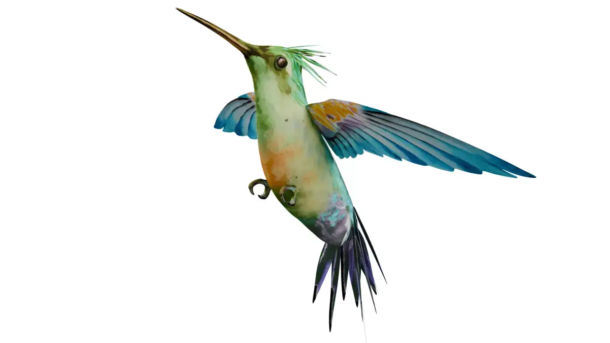 Humming Bird 3D model
