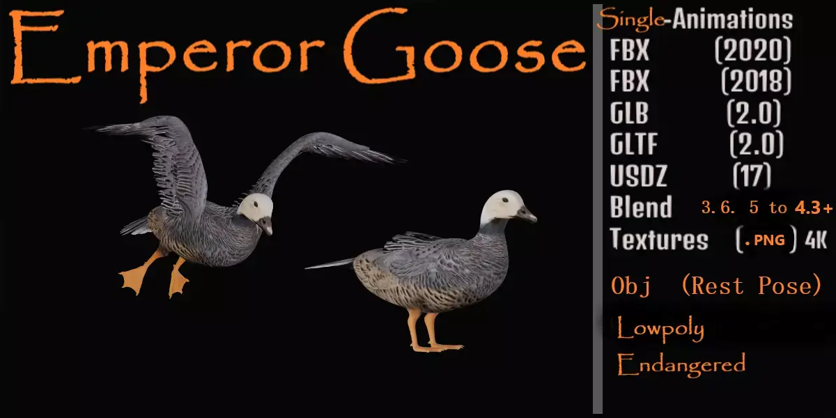 Emperor Goose Bird Low-poly 3D model