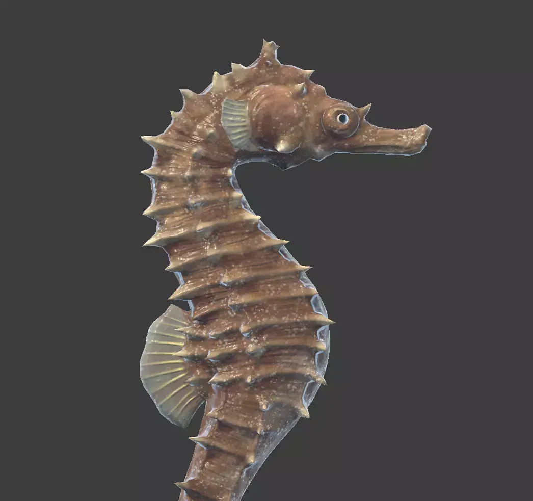 Seahorse Hippocampus Kuda Low-poly 3D model