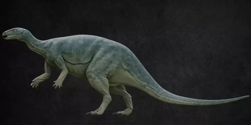 Camptosaurus dinosaur Low-poly 3D model
