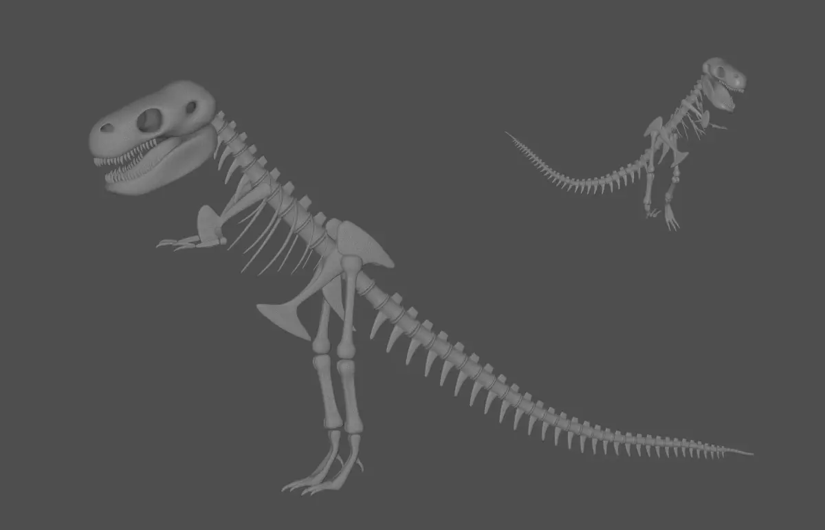 Tyrannosaurus Rex Fossil 3D model