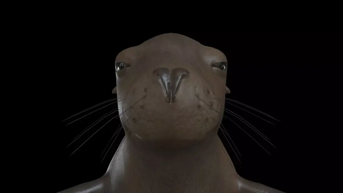 SEAL01 Rigged Seal 3D model