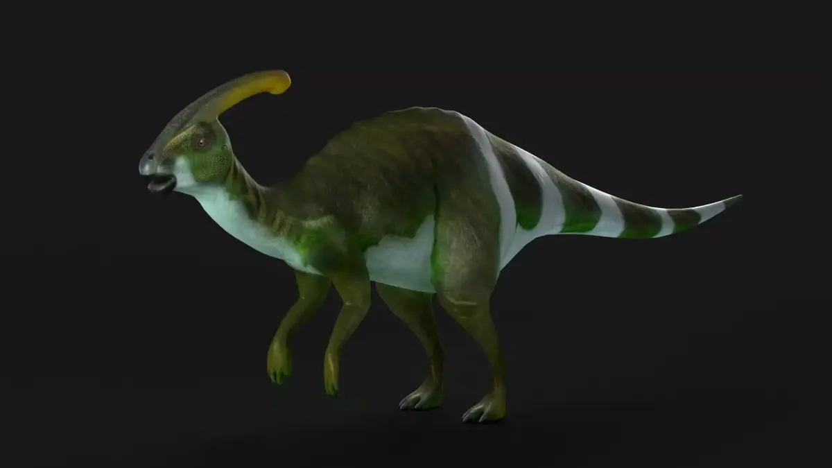 parasaurolophus dinosaur dino herbivour omnivorous 3D model