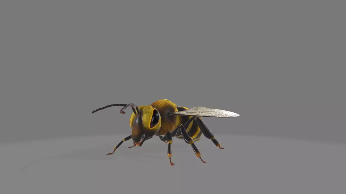 animated bee Low-poly 3D model