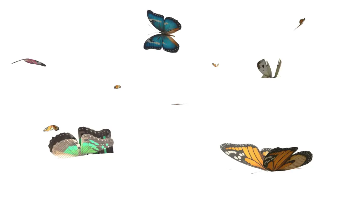 Butterflies looping animation  Low-poly 3D model
