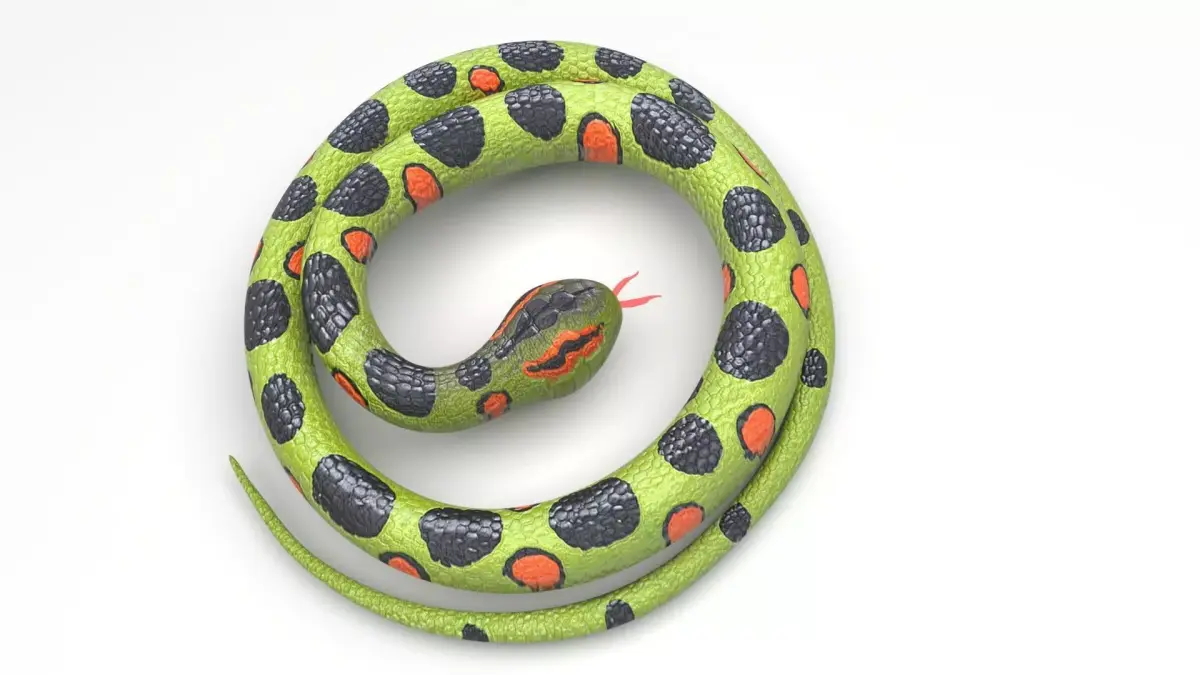 Rubber Snake 3D model purchase