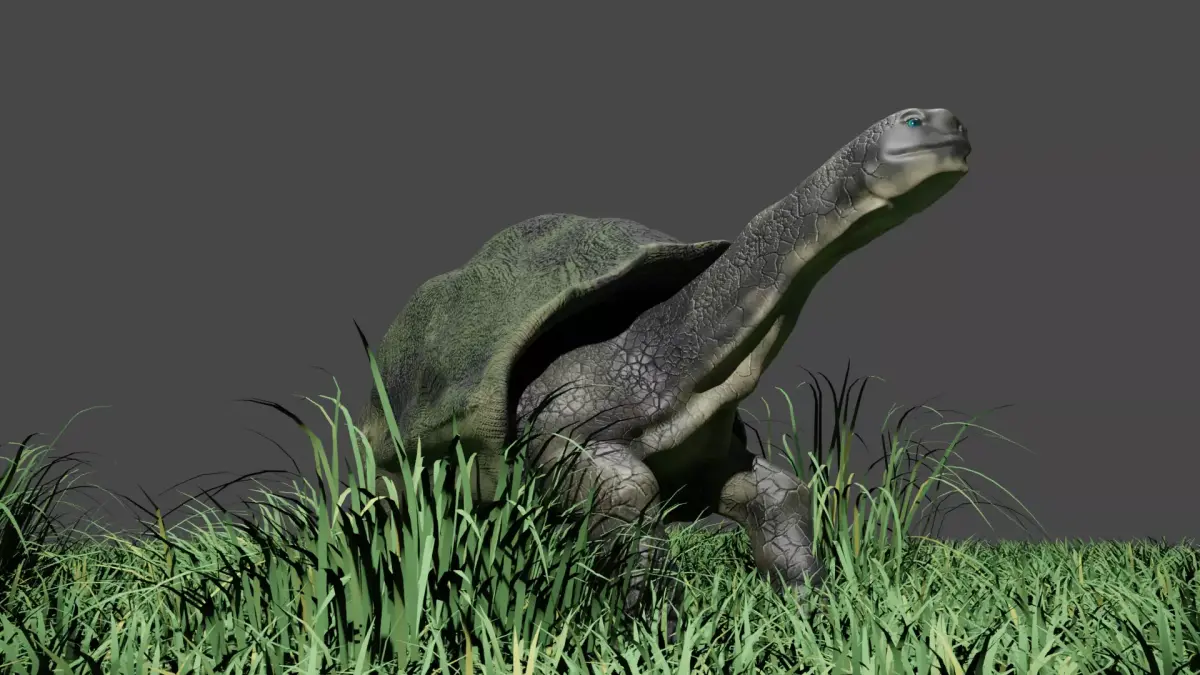Galapagos Giant Turtle Low-poly 3D model