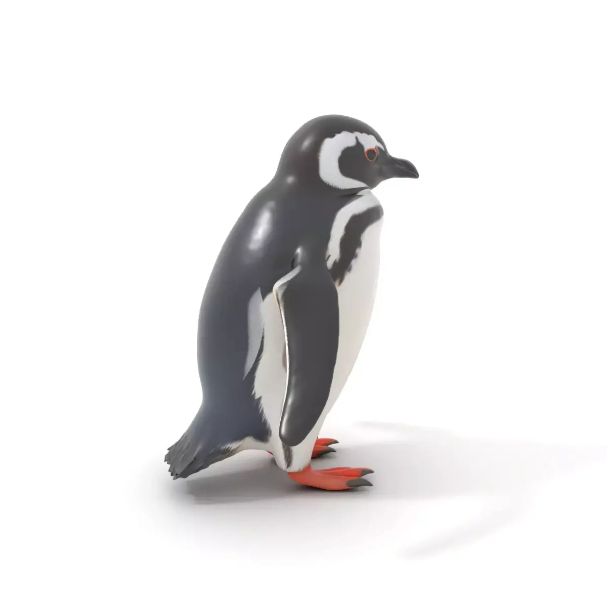 Charming Penguin model pack Low-poly 3D model