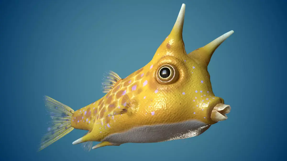 Fish Lactoria cornuta Lowpoly  Low-poly 3D model