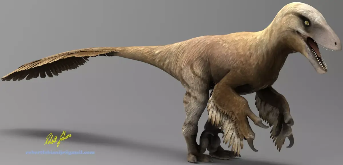 Raptor Low-poly 3D model purchase
