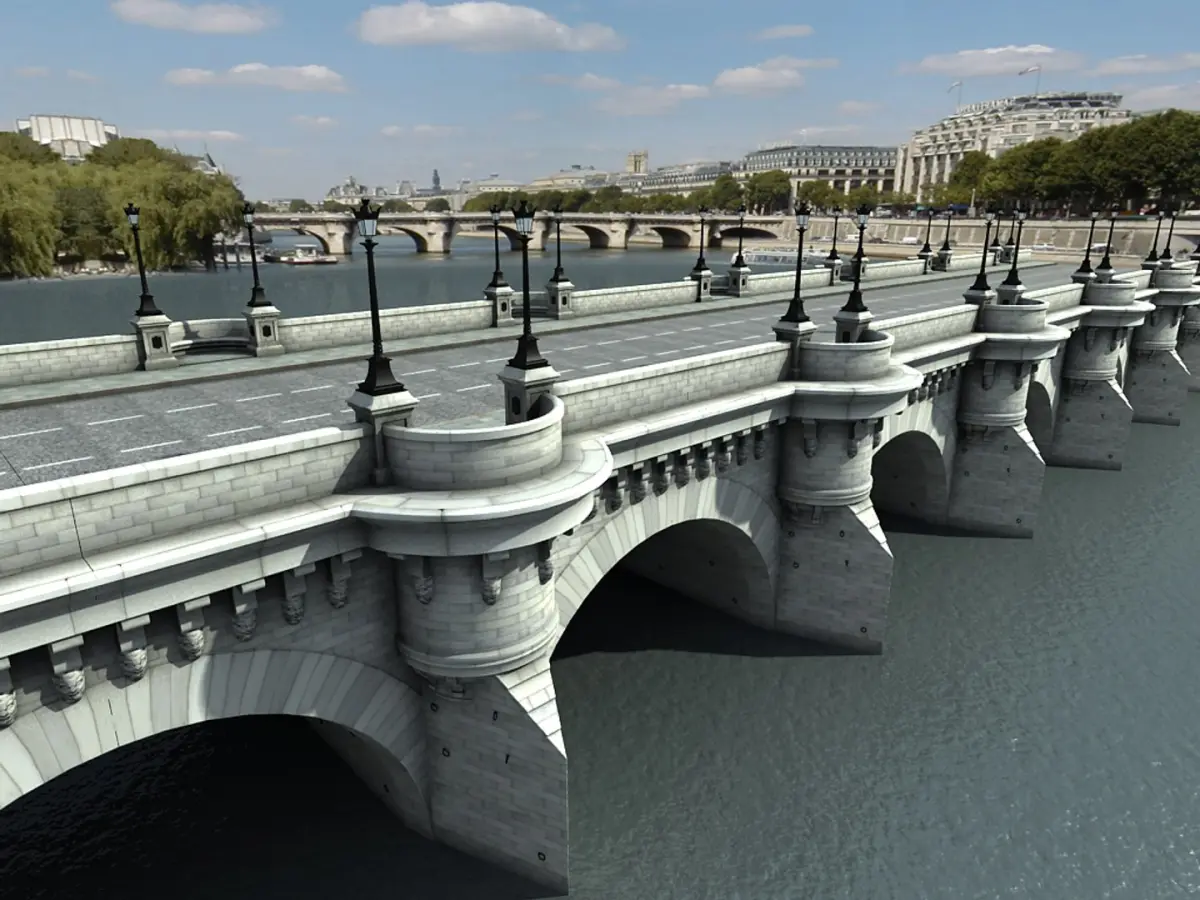 pont neuf 3D model