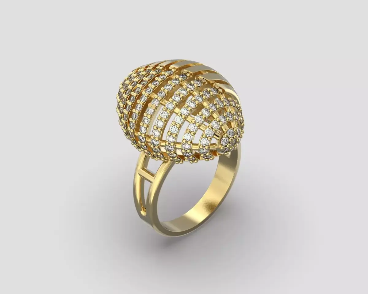 R 105 Ring Dome 3D print model