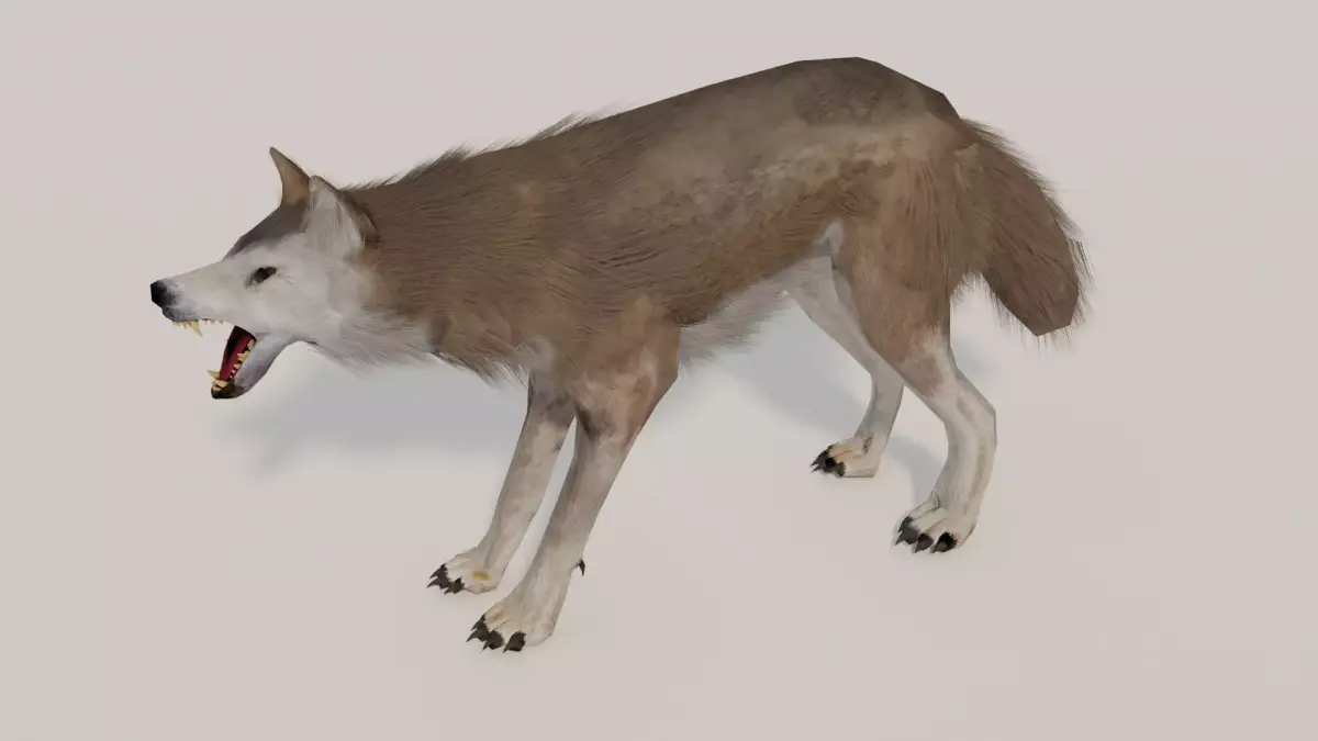 Brown Wolf Animated game ready with fur Low-poly 3D model