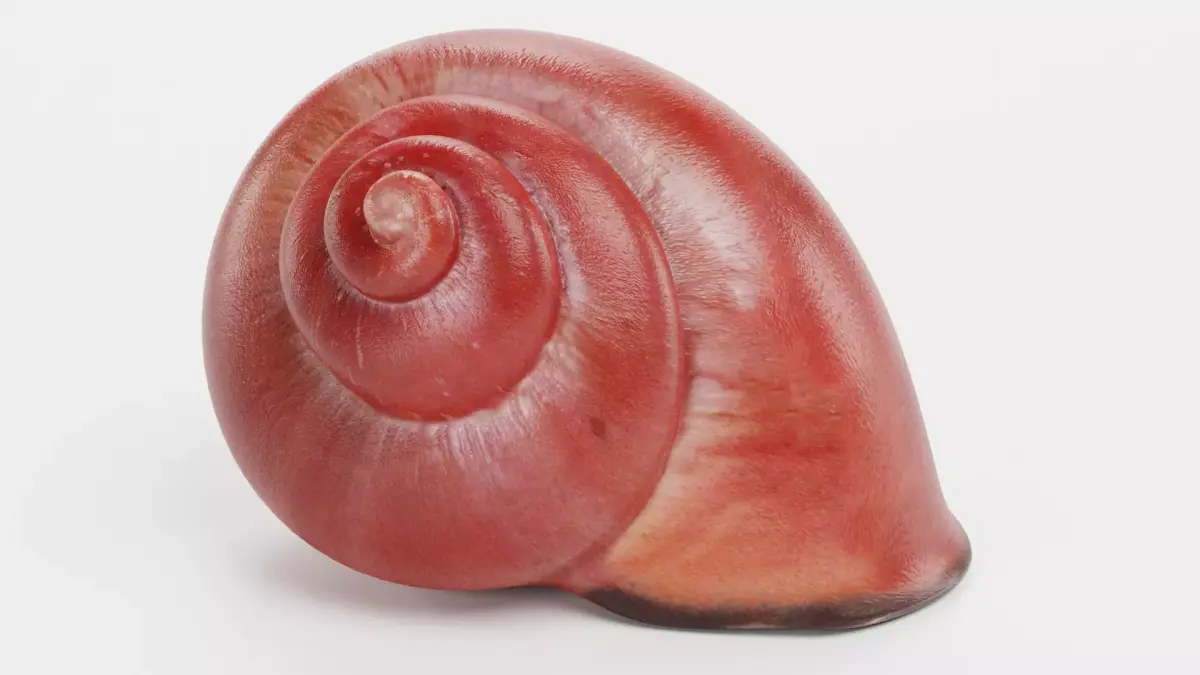 -Snail Shell- Low-poly 3D model