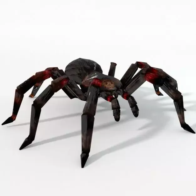 Tarantula spider Low-poly 3D model purchase