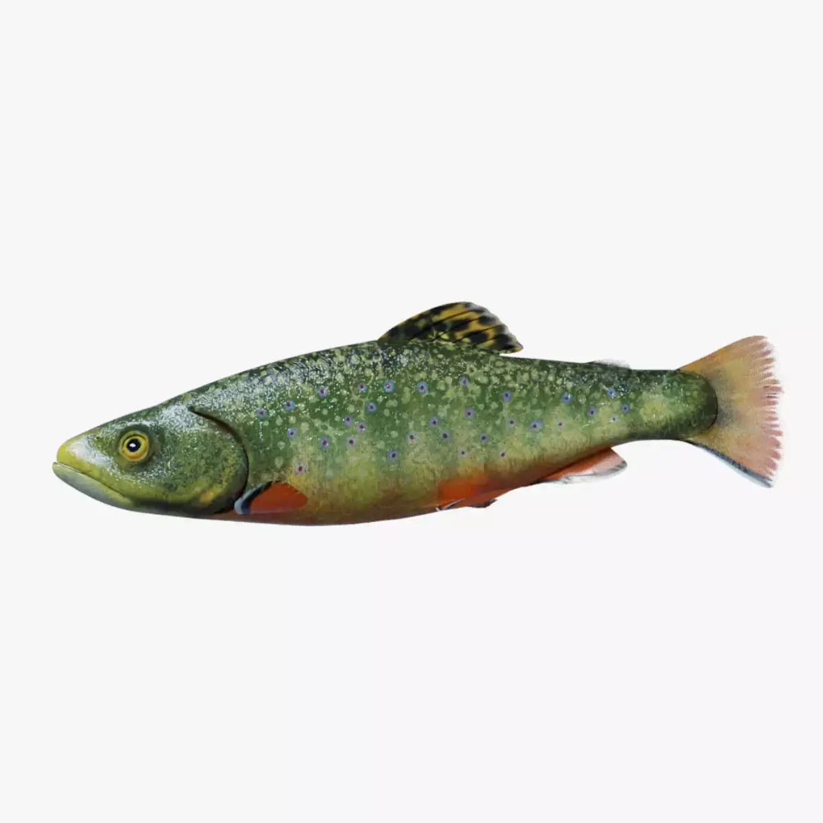 Animated Brook Trout Low-poly 3D model