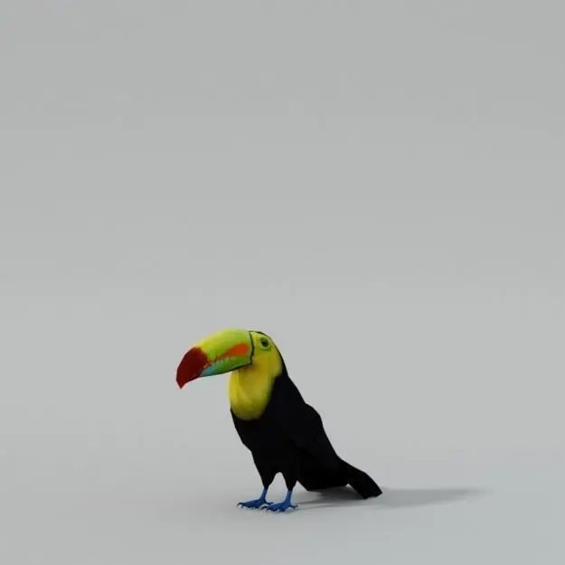 Toucan bird Low-poly 3D model