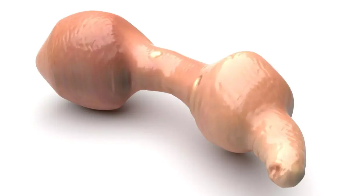 Penis Fish 3D model