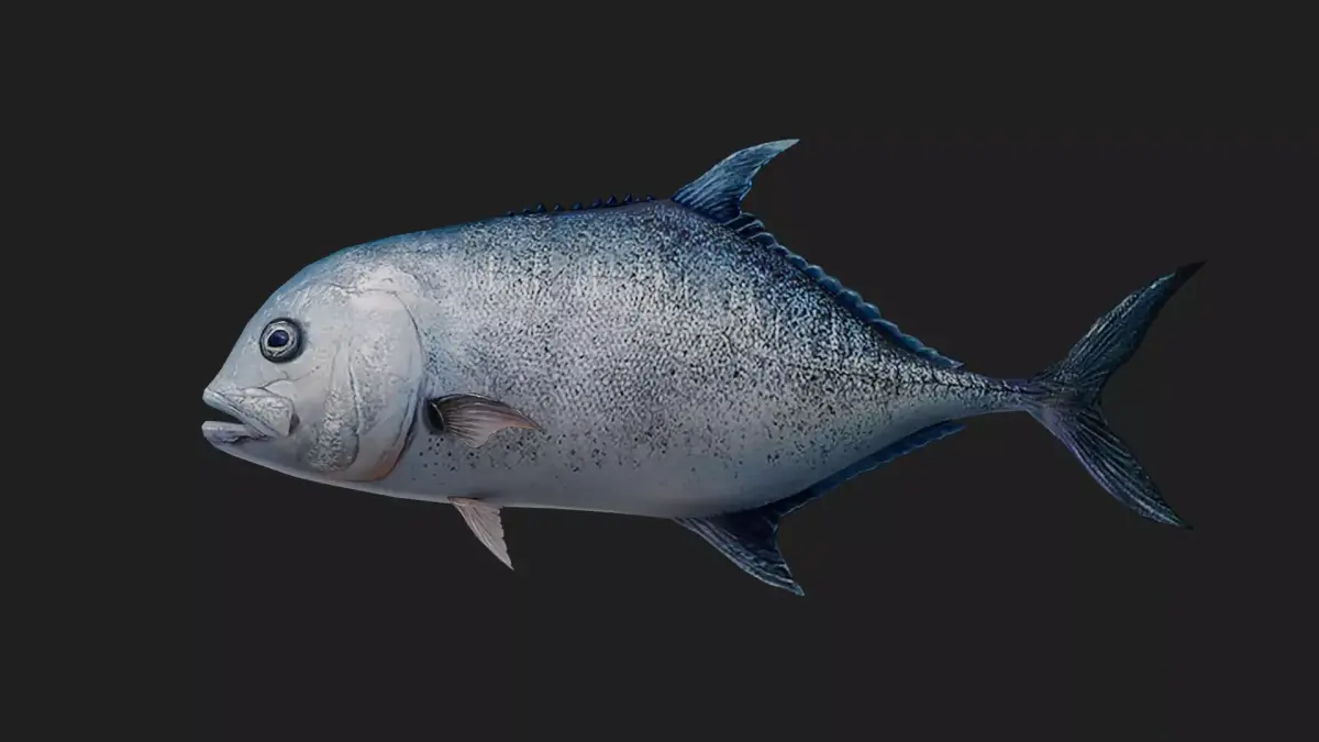 Trevally Low-poly 3D model order