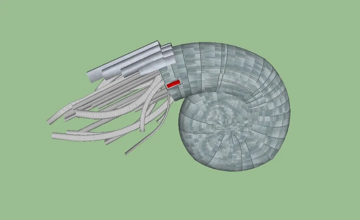 NAUTILIS 20 Free 3D model purchase