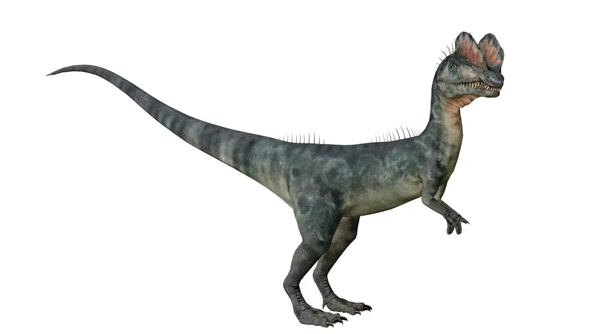 Dilophosaurus 3D Model dinosaur Low-poly 3D model