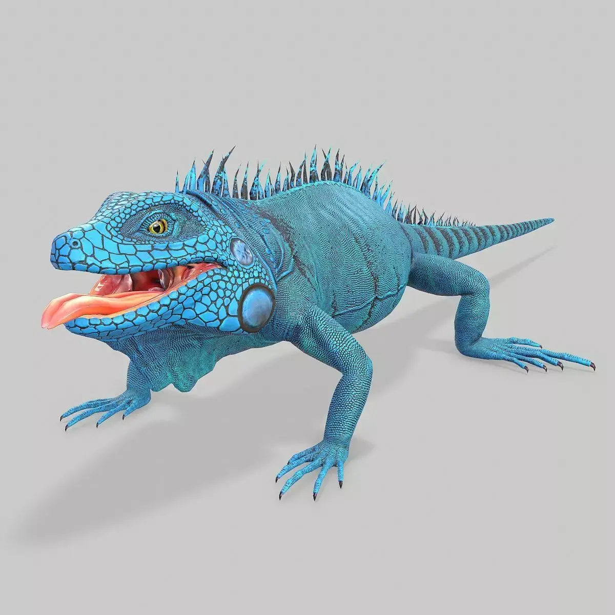Iguana Blue Low-poly 3D model