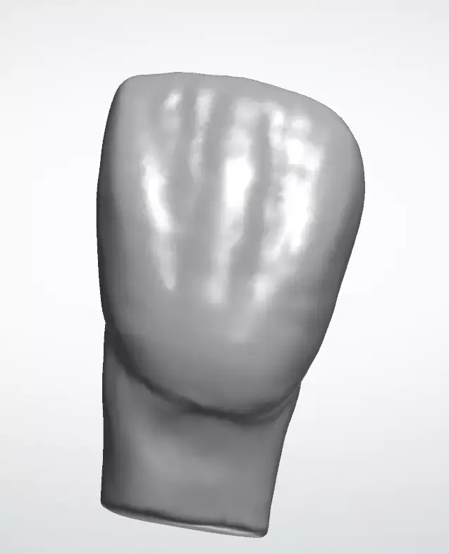 Dental morphology-first incisor 3D model